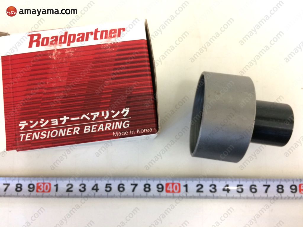 Buy Genuine Nissan AY460NS013 (AY460-NS013) Tensioner Assembly 