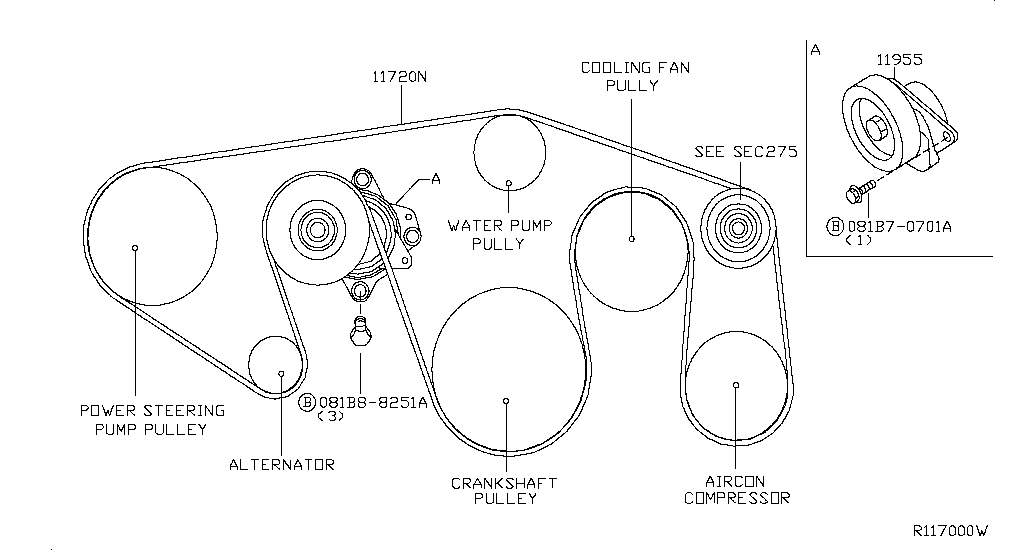 Fan, Compressor & Power Steering Belt (Engine)